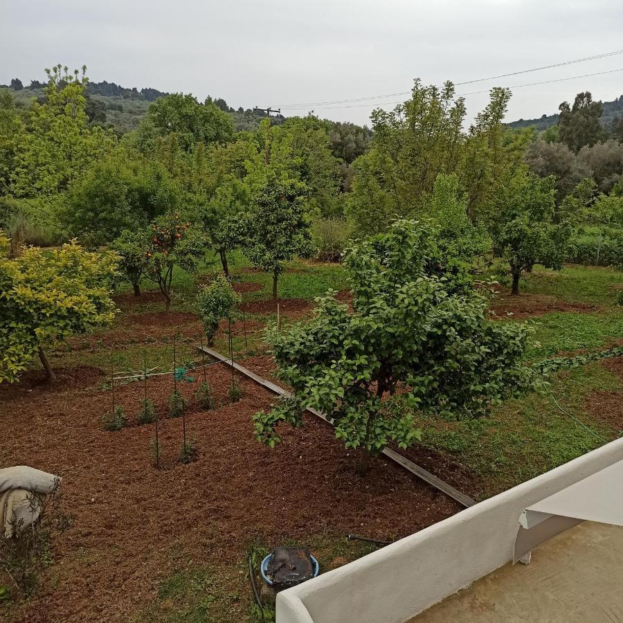 Εξοχική Κατοικία - Cottage Τίνα Líri 外观 照片